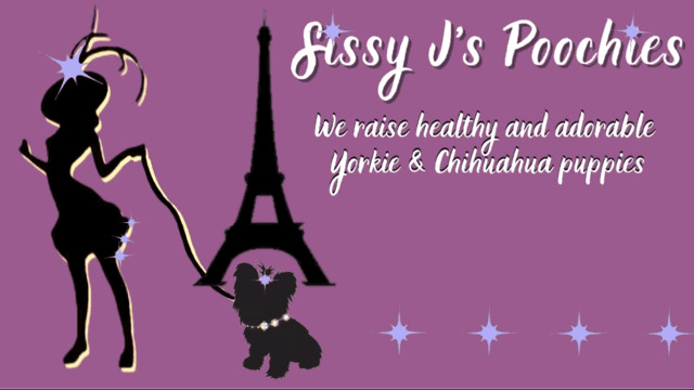 Sissy J's Poochies